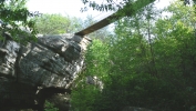 PICTURES/Rock City - Lookout Mountain, GA/t_Swinging Bridge From Below.JPG